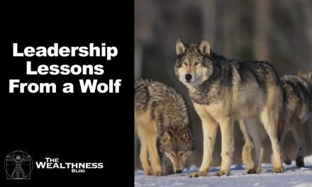 A Valuable Leadership Lesson From The Wolf Pack