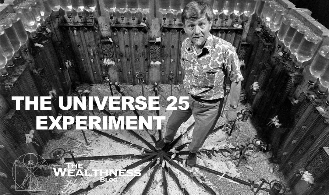 The “Universe 25” experiment is one of the most terrifying experiments in the history of science