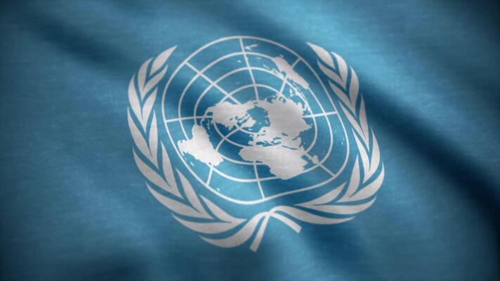 The United Nations logo is actually the true map of the flat Earth